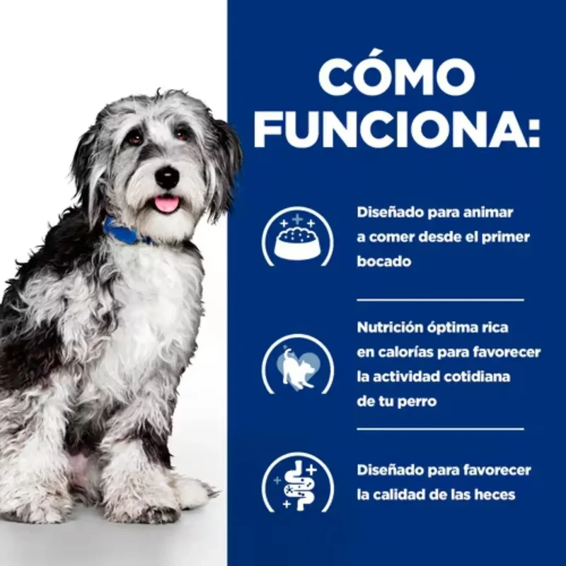Hill'S Prescription Diet Pienso ON-Care Pollo para Perros
