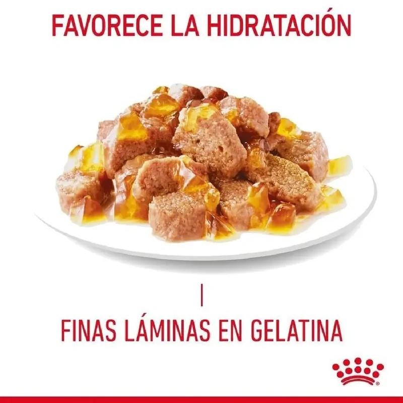 Royal Canin Hair & Skin Finas Láminas en Gelatina 85 g Comida Húmeda para Gatos