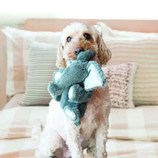 KONG Comfort Kiddos Elephant XS Juguete para Perros
