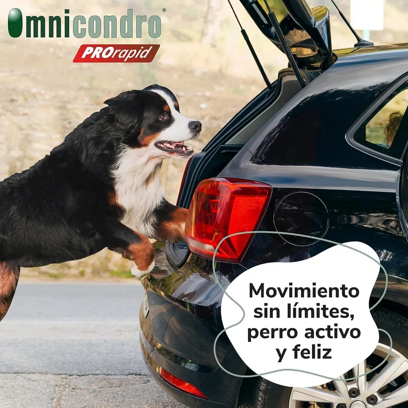 Hifarmax Omnicondro ProRapid 60 Comprimidos Suplemento Condroprotector para Perros