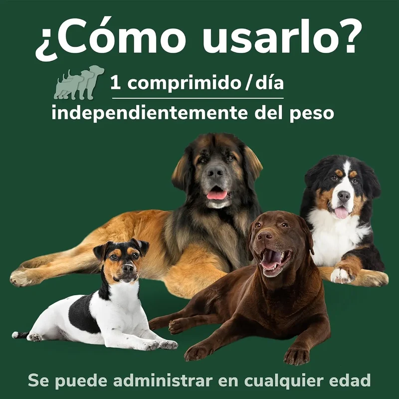Hifarmax Omnicondro ProRapid 60 Comprimidos Suplemento Condroprotector para Perros