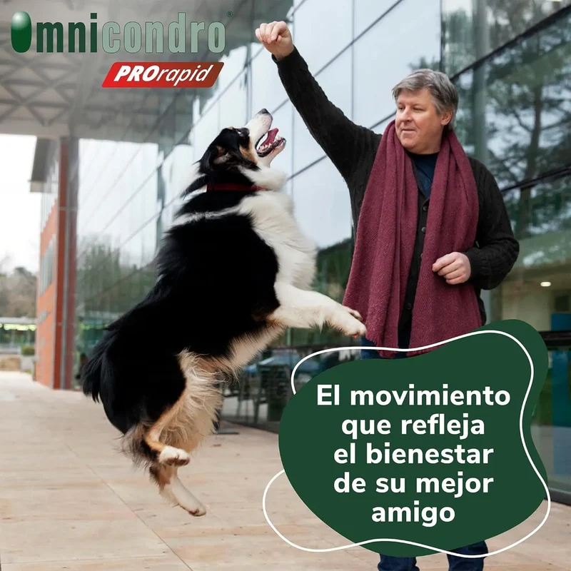 Hifarmax Omnicondro ProRapid 60 Comprimidos Suplemento Condroprotector para Perros