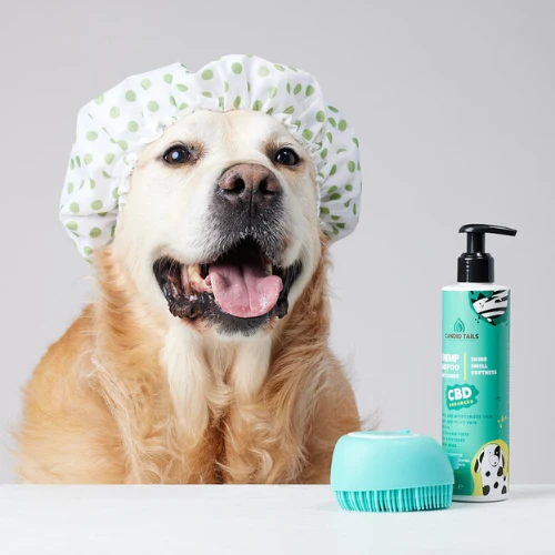 CHAMPU CBD PARA PERROS CANDID TAILS