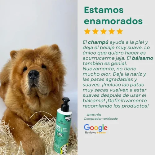 CHAMPU CBD PARA PERROS CANDID TAILS