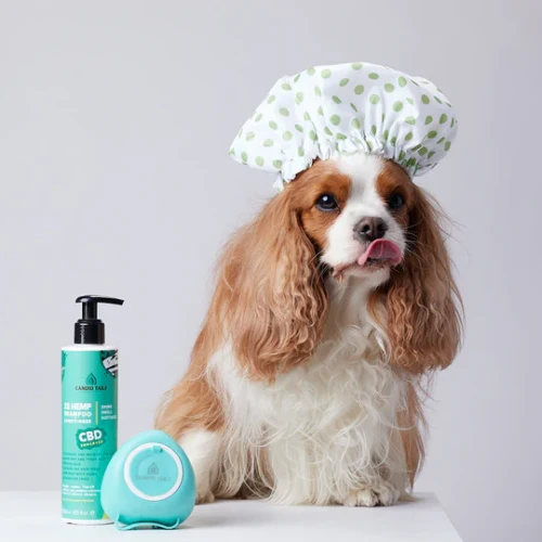 CHAMPU CBD PARA PERROS CANDID TAILS