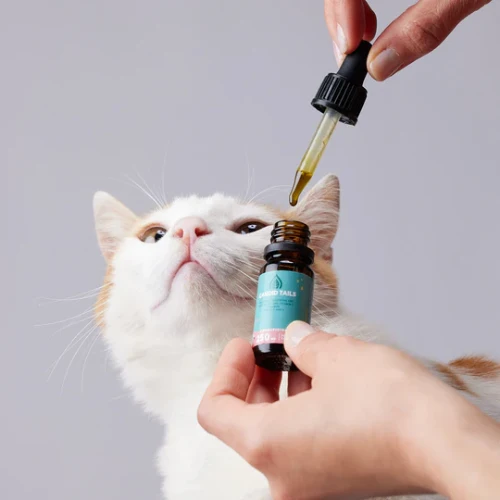 PETBIDIOL ACEITE DE CBD PARA GATOS CANDID TAILS