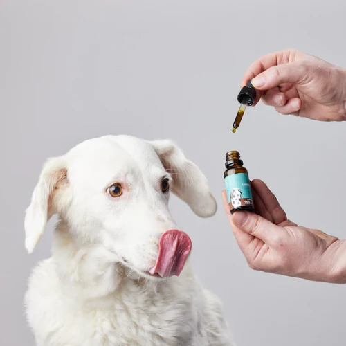 PETBIDIOL ACEITE DE CBD PERRO MEDIANO CANDID TAILS