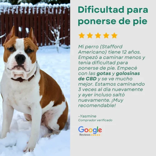 PETBIDIOL ACEITE DE CBD PERRO PEQUEÑO CANDID TAILS