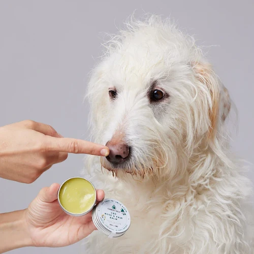 BALSAMO DE CBD PARA PERROS CANDID TAILS