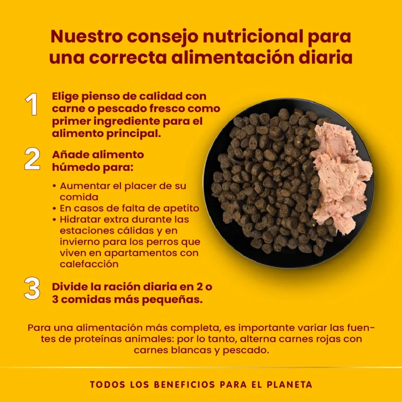 Almo Nature HFC Natural 290 g Comida Húmeda para Perros