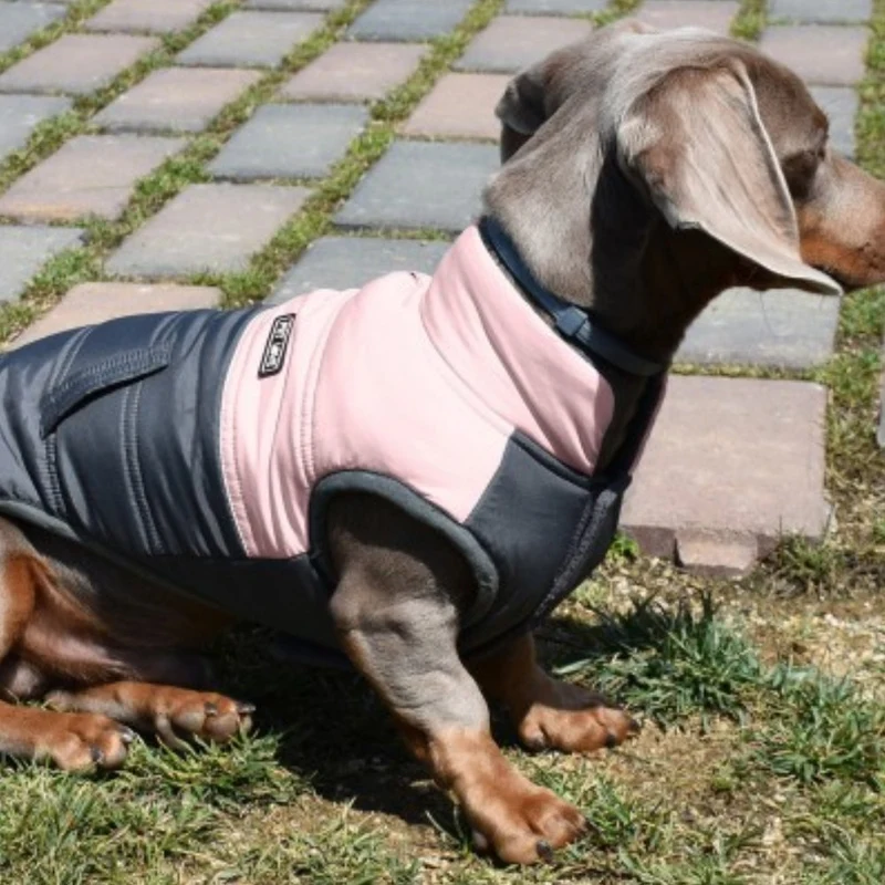 Nayeco Chaqueta Montecarlo Ropa para Perros