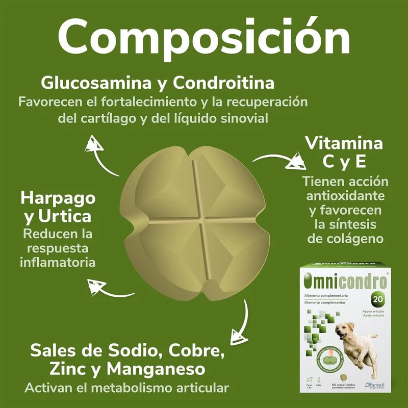 Omnicondro 20 | 60 comprimidos | Condroprotector para Perros y Gatos con Glucosamina y Condroitina | Suplemento Nutricional para Reforzar Articulaciones | Hifarmax