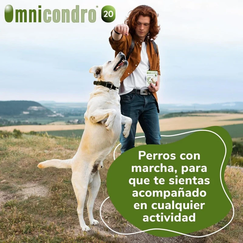 Omnicondro 20 | 60 comprimidos | Condroprotector para Perros y Gatos con Glucosamina y Condroitina | Suplemento Nutricional para Reforzar Articulaciones | Hifarmax