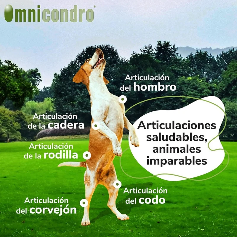 Omnicondro 10 | 60 comprimidos | Condroprotector para Perros, Gatos y Cachorros con Glucosamina y Condroitina para Articulaciones | Hifarmax