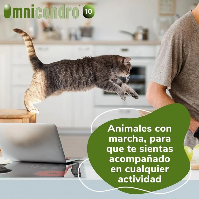 Omnicondro 10 | 60 comprimidos | Condroprotector para Perros, Gatos y Cachorros con Glucosamina y Condroitina para Articulaciones | Hifarmax