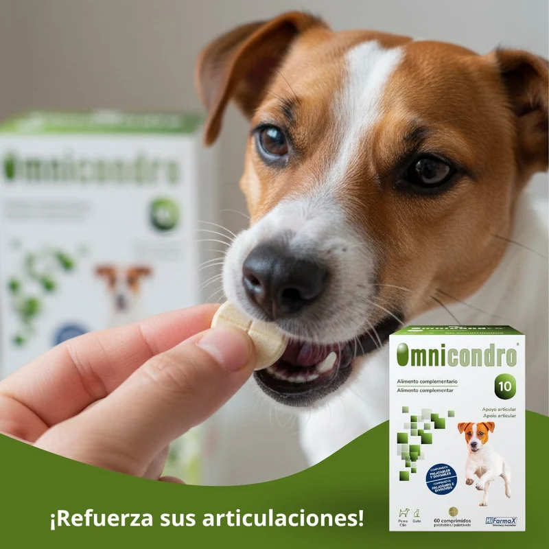 Omnicondro 10 | 60 comprimidos | Condroprotector para Perros, Gatos y Cachorros con Glucosamina y Condroitina para Articulaciones | Hifarmax