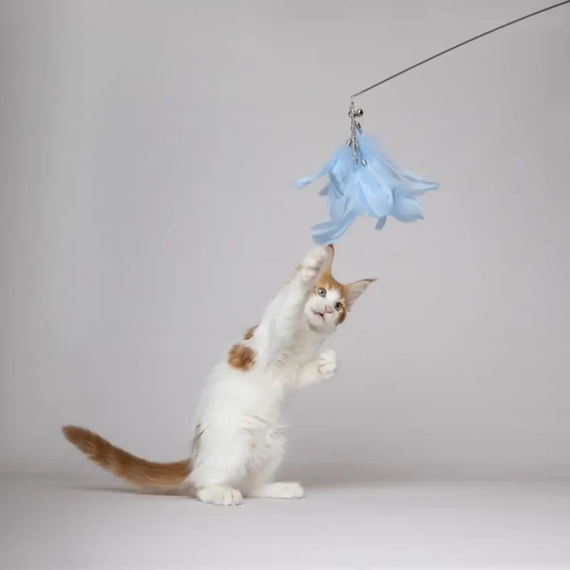Flamingo Nimmy Vara Juguete para Gatos 1 ud