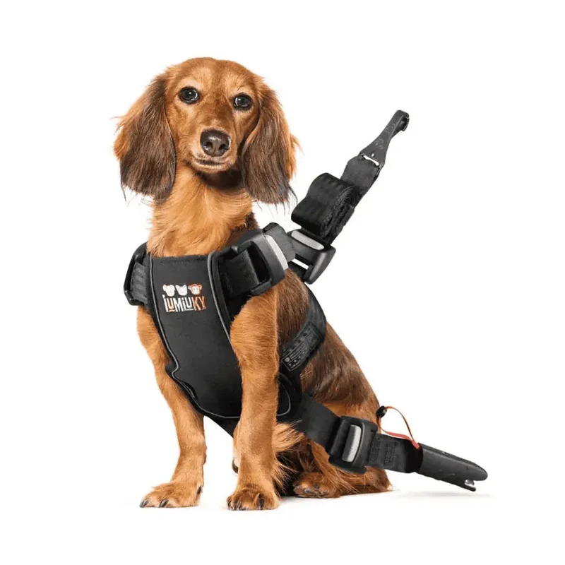 Iumiuky Travel Fix Arnés Pet Coche para Perros