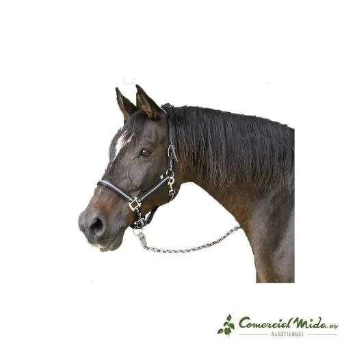 Cabezada de Nylon Mustang KERBL con Doble Ajuste para Caballos