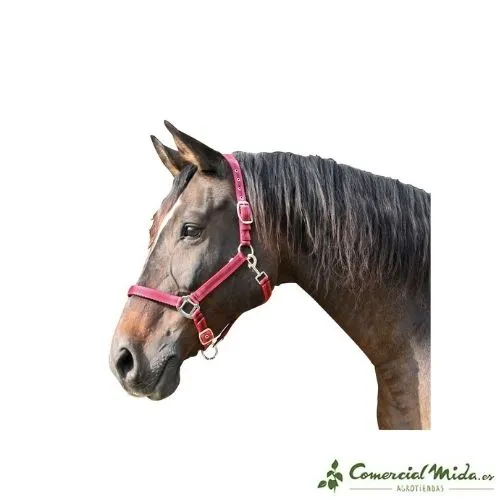 Cabezada de Nylon Mustang KERBL con Doble Ajuste para Caballos