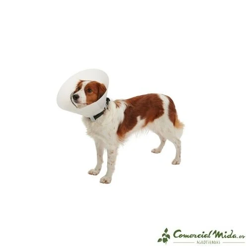 Collar Isabelino Opaco KRUUSE Buster Classic para Perros