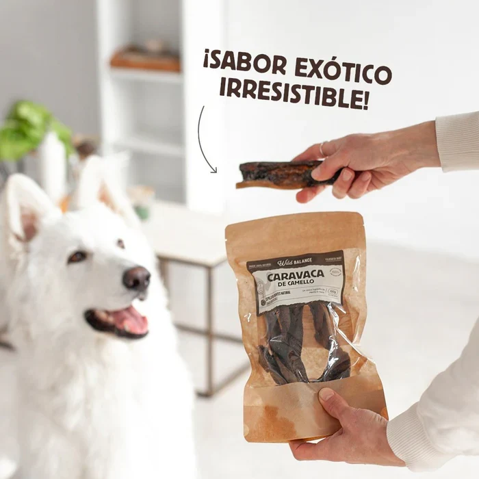 Caravaca de Camello: El Snack de Larga Duración más Exótico