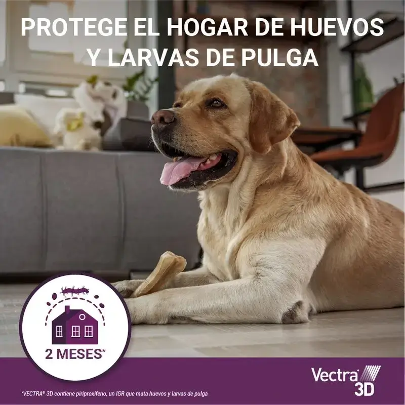 Vectra 3D Perro 1,5-4 Kg, Pack 2 x 3 Pipetas