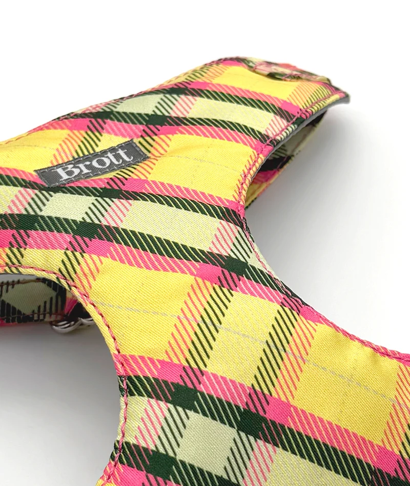 Arnés Soft Body para perro Mollet
