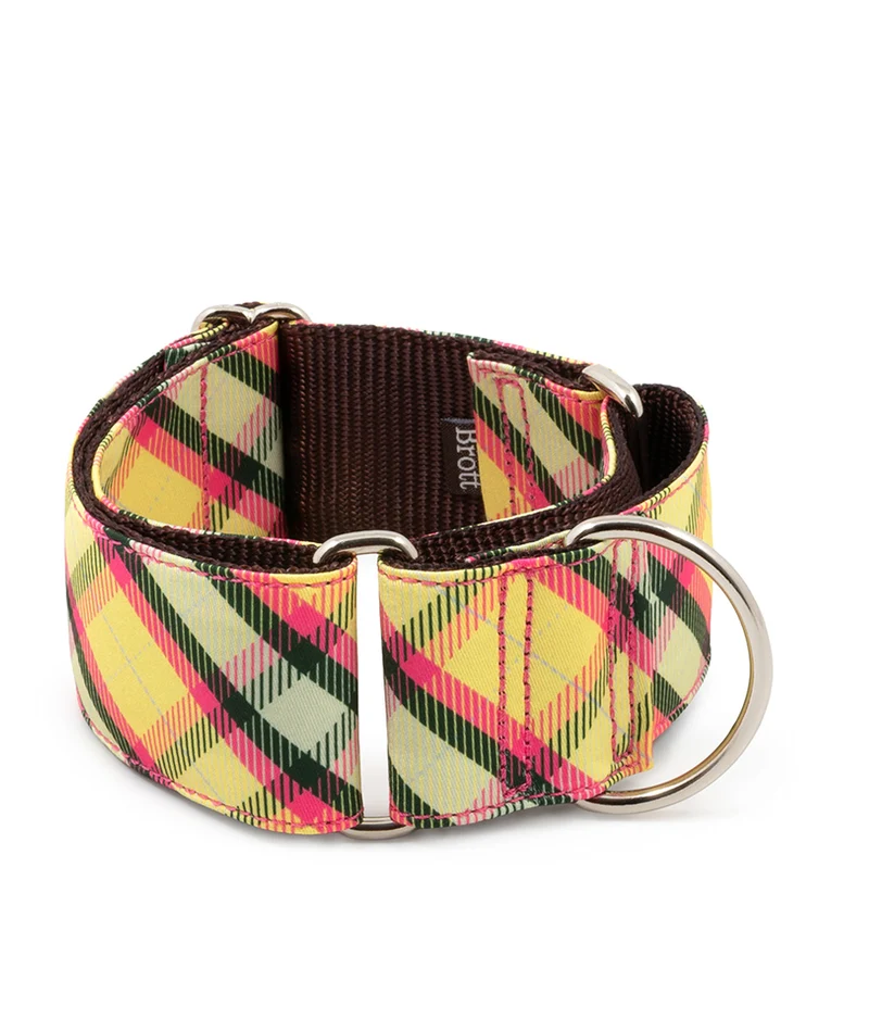 Collar para perro Textura Mollet