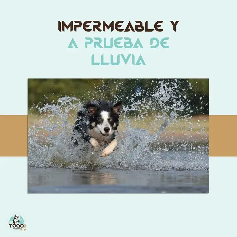Togo Collar Antiparasitario Repelente Para Perros Todos Los Tamaños, pack de 2