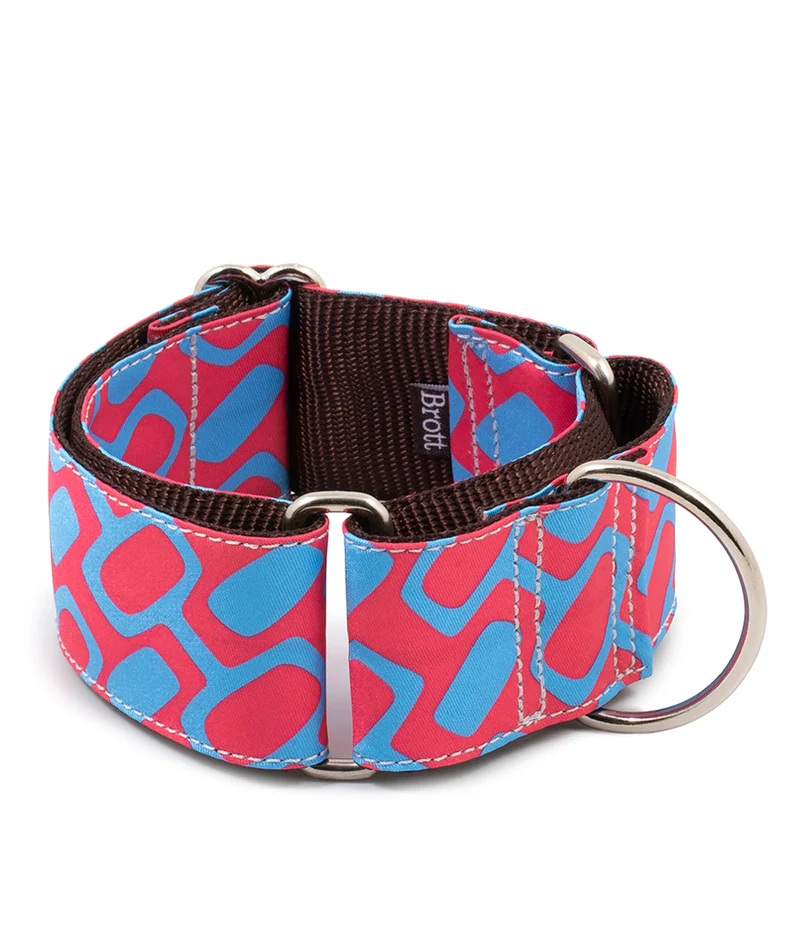 Collar para Galgo Ceret
