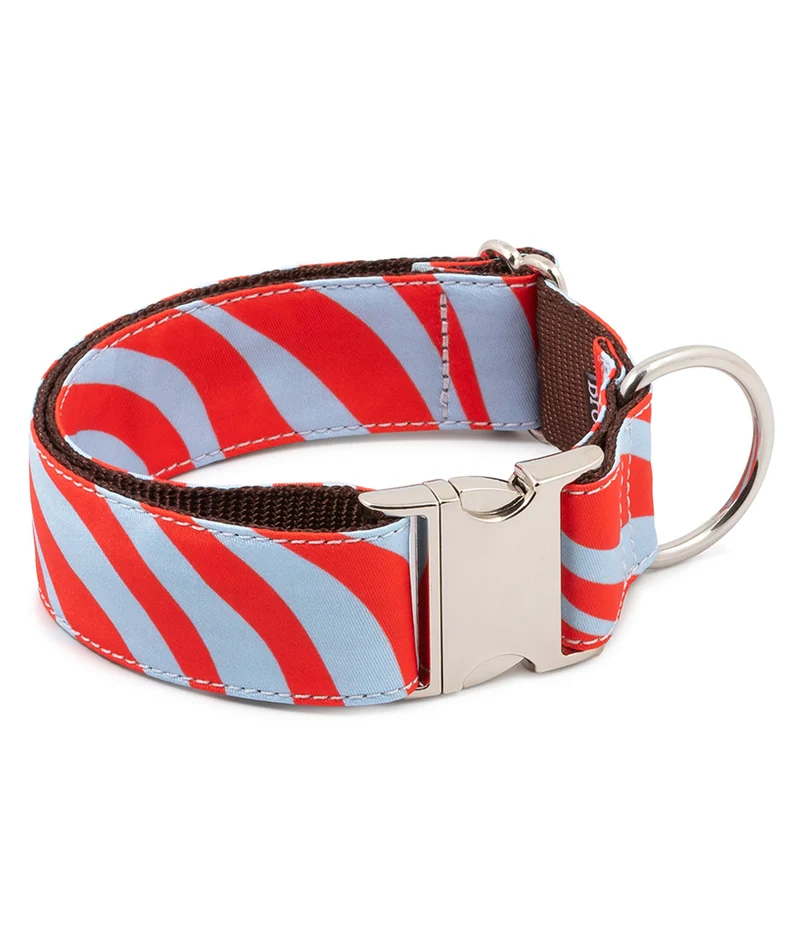 Collar para perro Malniu