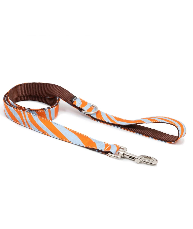 Collar para perro Arbeca
