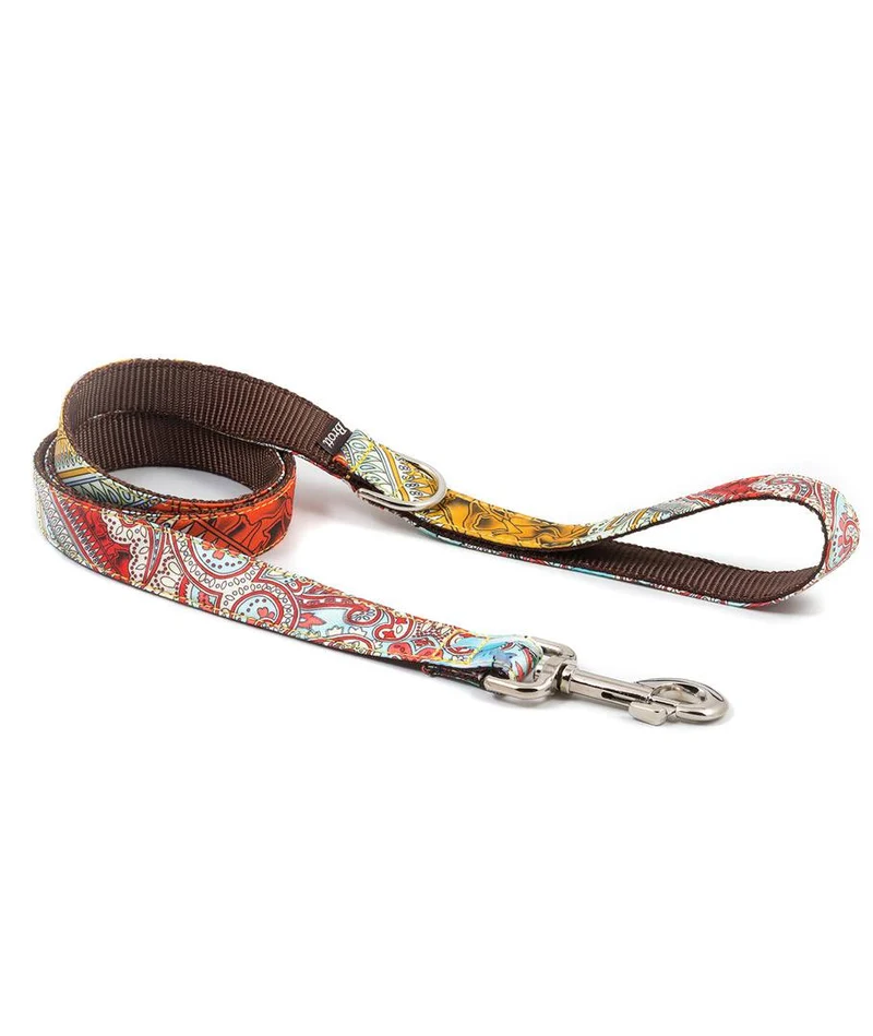 Collar para perro Sacaleta