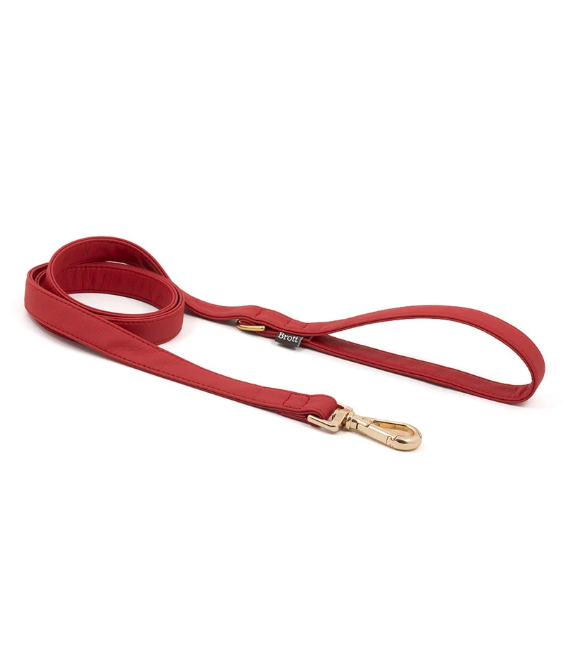 Correa perro Essence Red gold