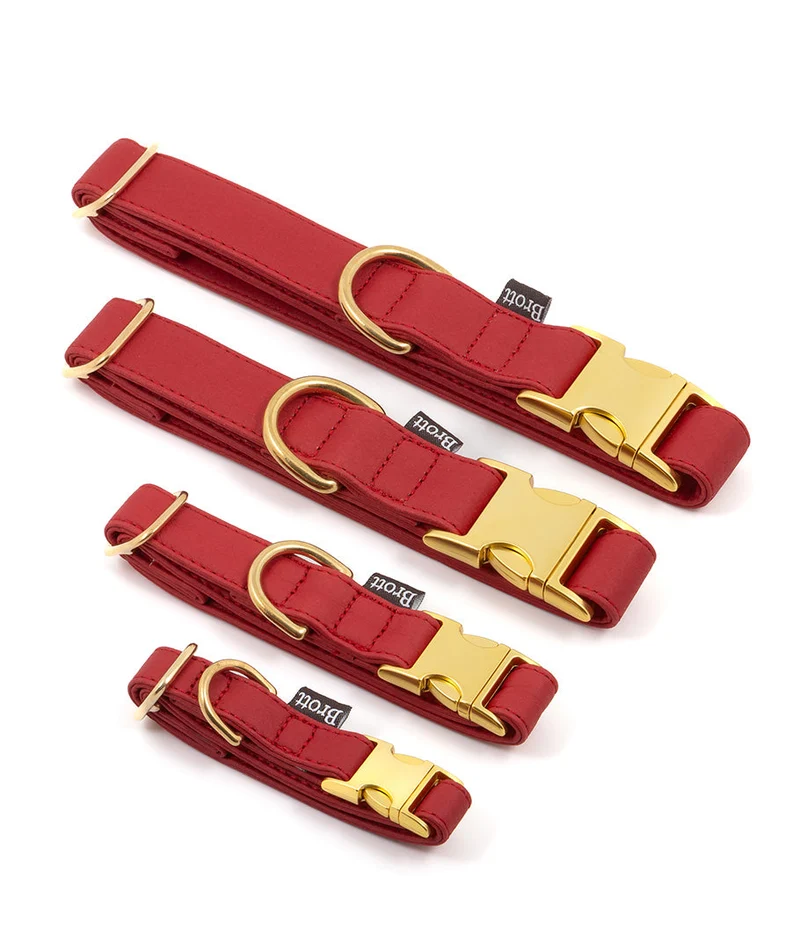 Collar perro Essence Red gold