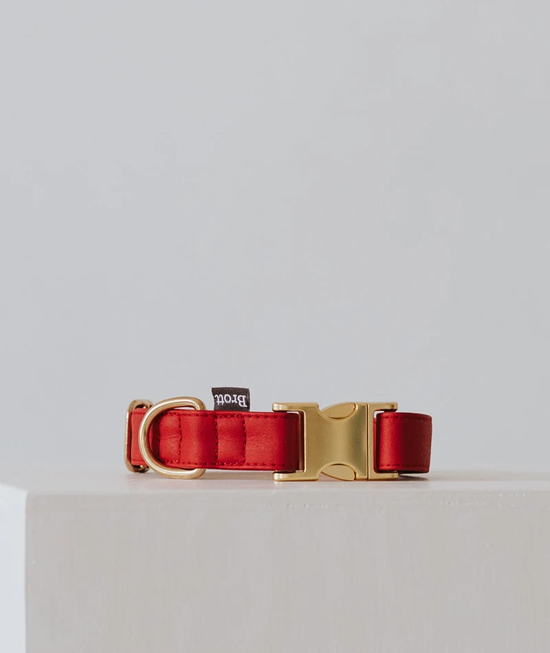 Collar perro Essence Red gold