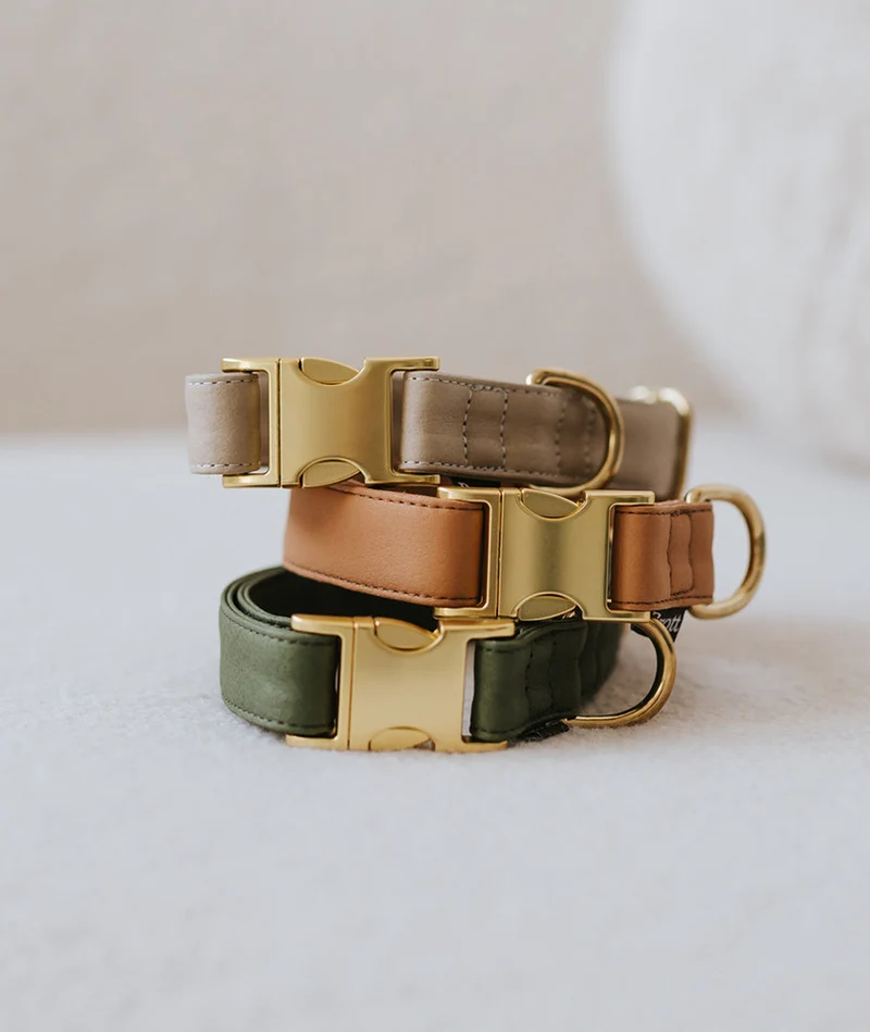 Collar perro Essence Camel gold