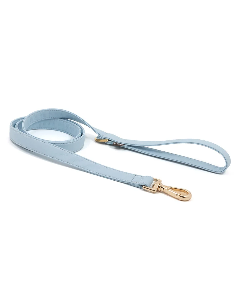 Correa perro Essence Blue Sky gold