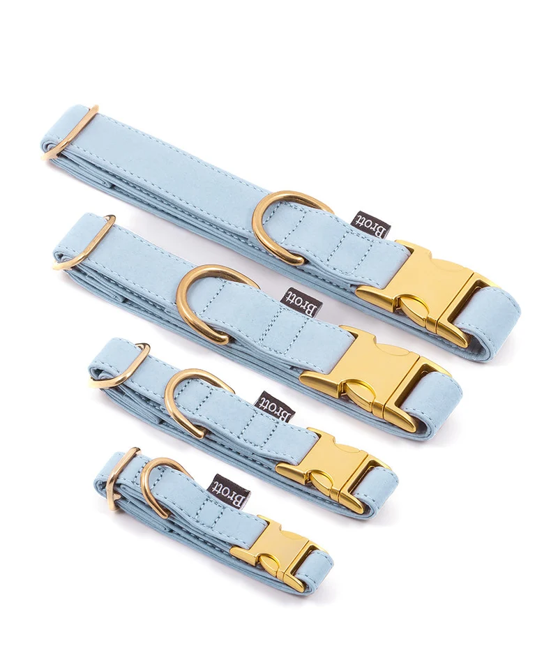 Collar perro Essence Blue Sky gold