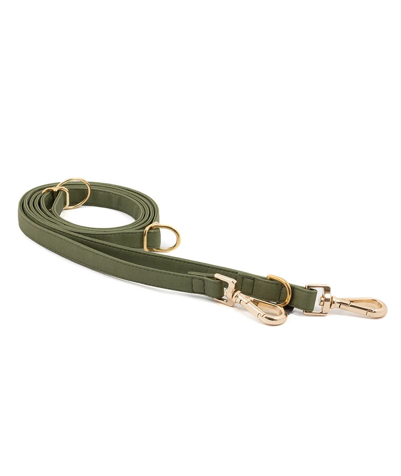 Correa perro Essence Green Musk gold