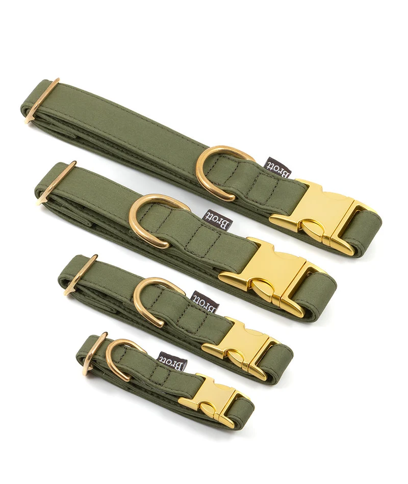Collar perro Essence Green Musk gold