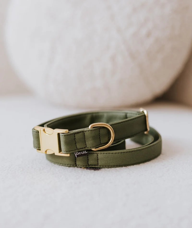 Collar perro Essence Green Musk gold