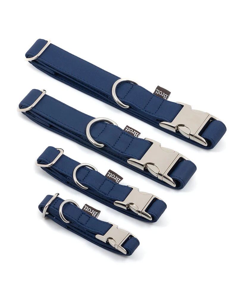 Collar perro Essence Space Blue silver