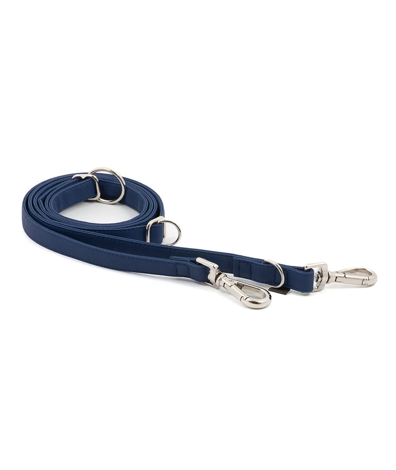 Correa perro Essence Space Blue silver