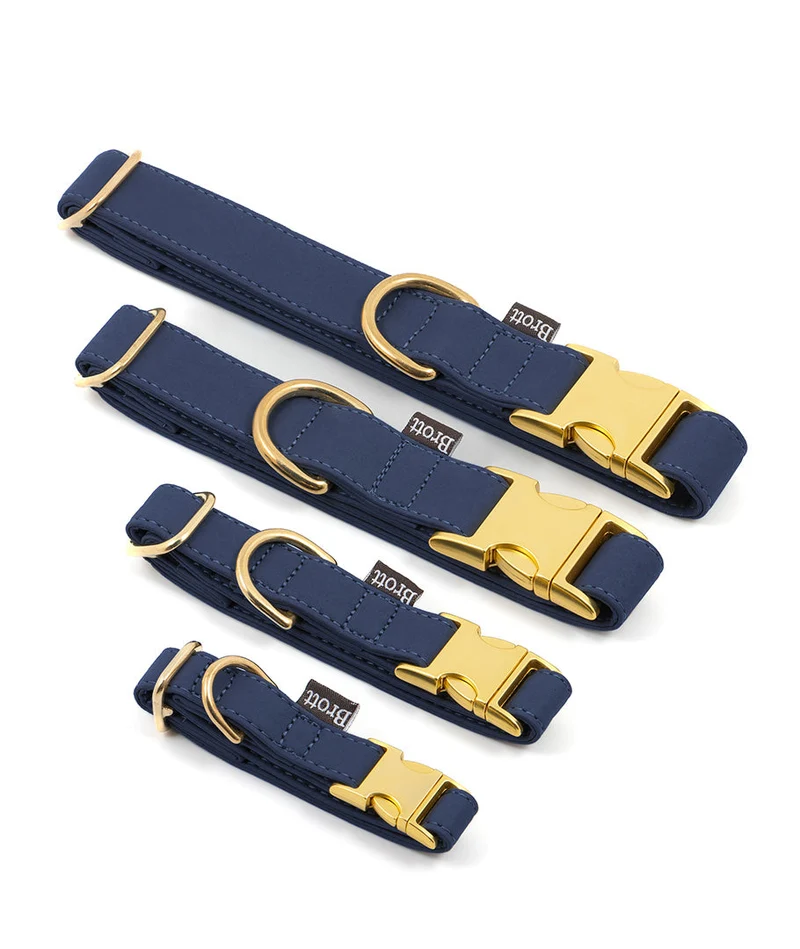 Collar perro Essence Space Blue gold