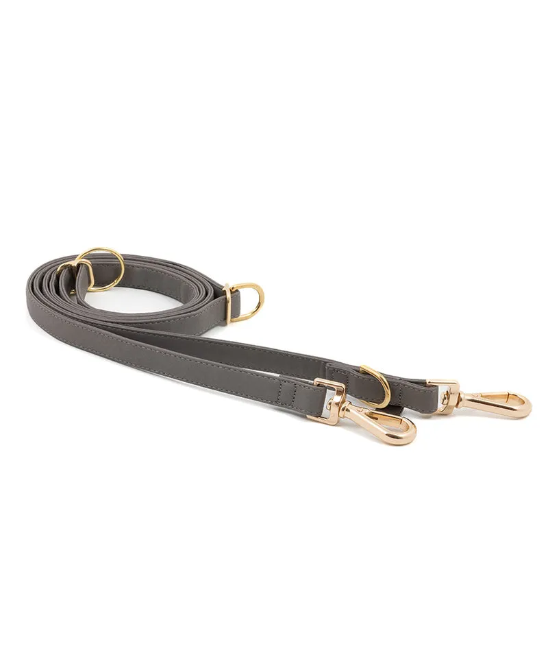 Correa perro Essence Grey gold