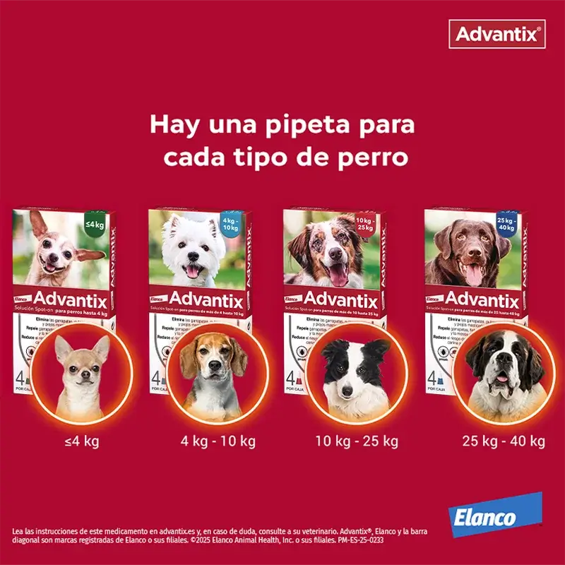 Advantix Pipetas Antiparasitarias Para Perros De 4 A 10 Kg, 8 Unidades X 1 Ml