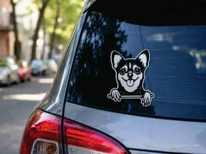 Stickers para Auto
