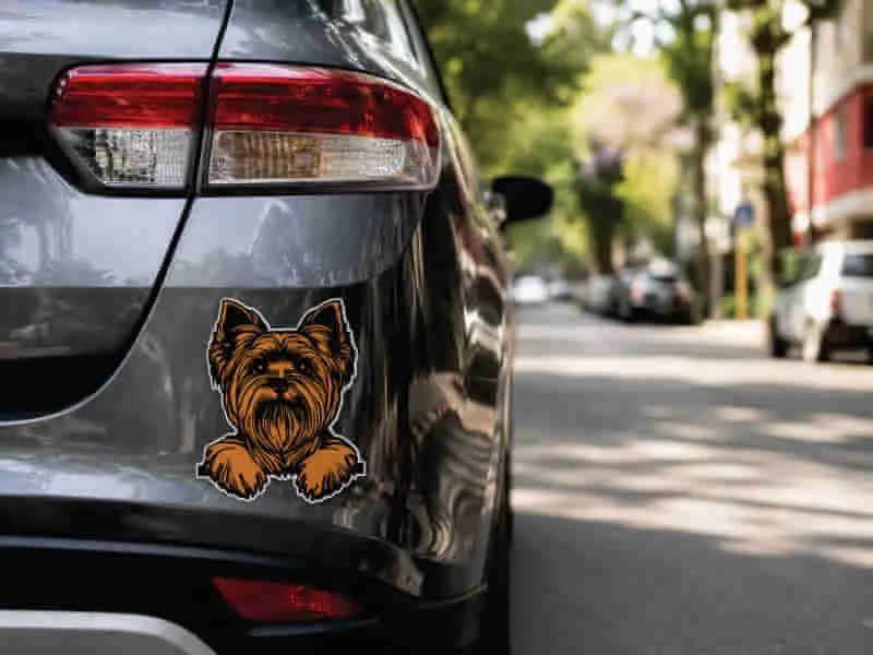 Stickers para Auto